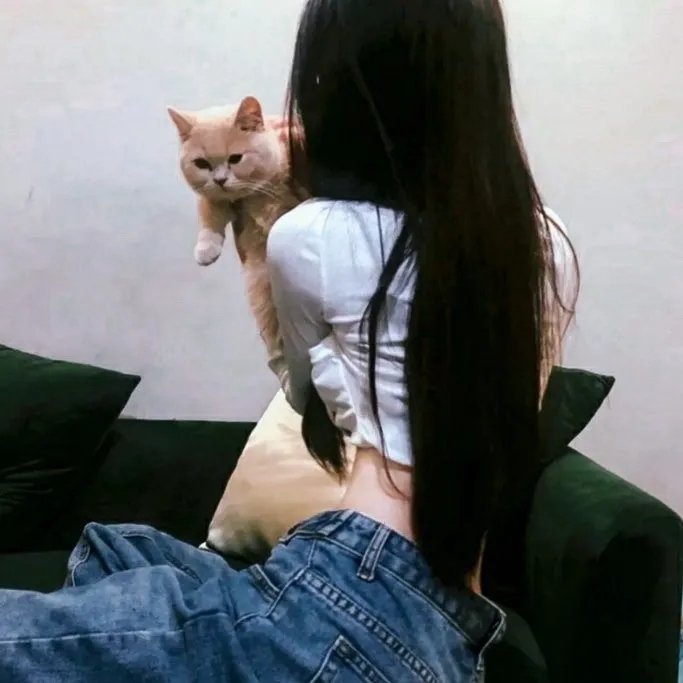 完美家庭